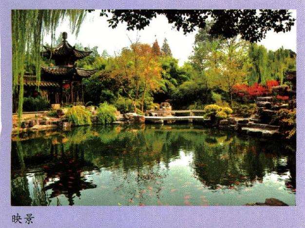 与西方园林将树木修剪成几何图形不同