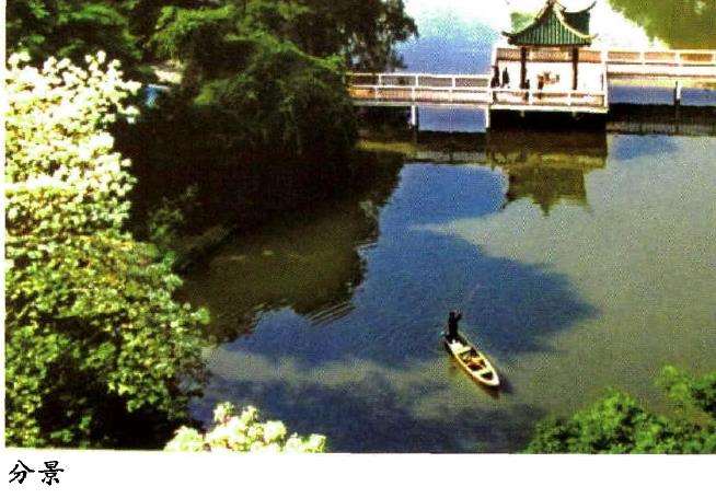 与西方园林将树木修剪成几何图形不同