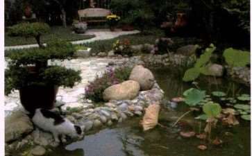 这个花园是2014年底建成的 图片