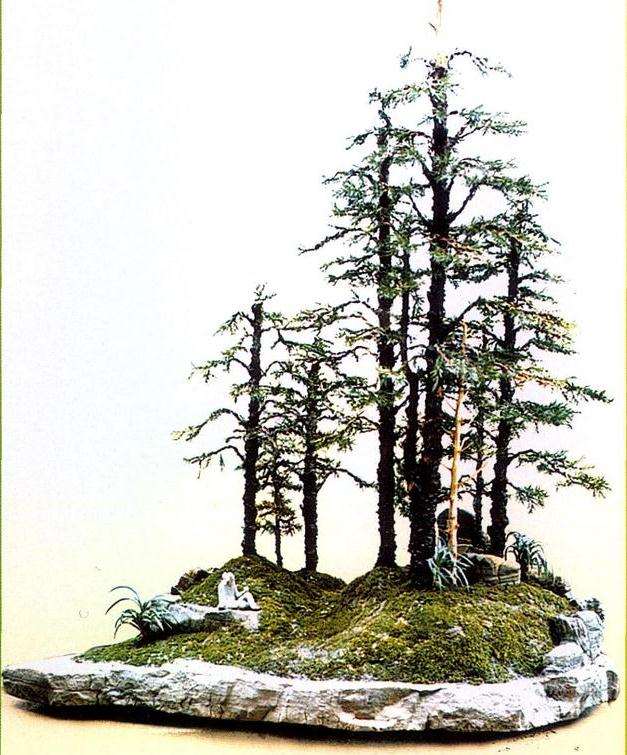 图解 塔柏怎么创作树石盆景的6个过程