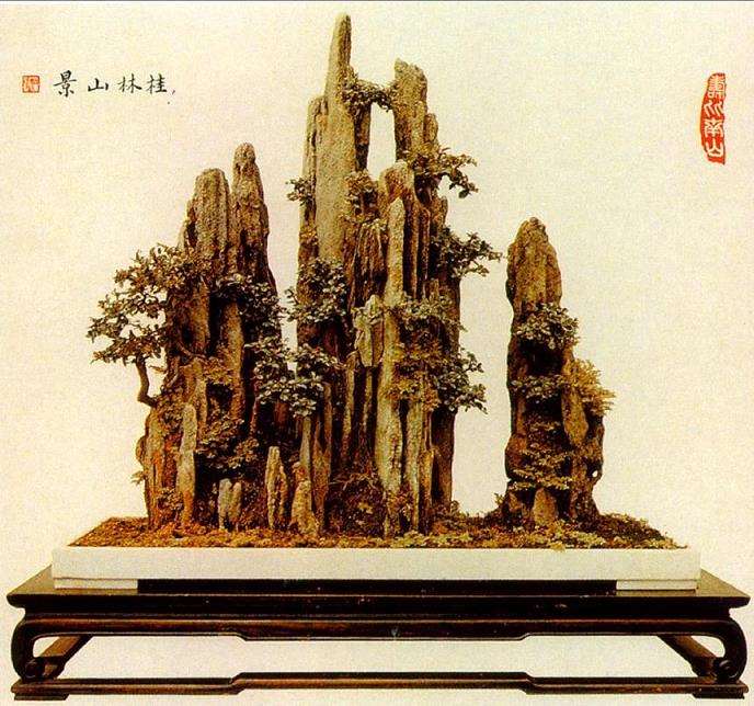 岭南盆景怎么几架陈设的3个方法 图片