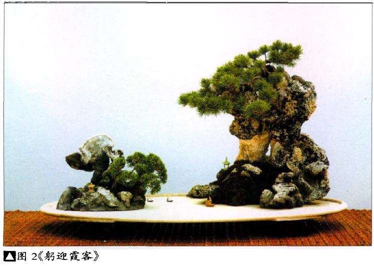 附石盆景作品怎么命题的3个方法 图片