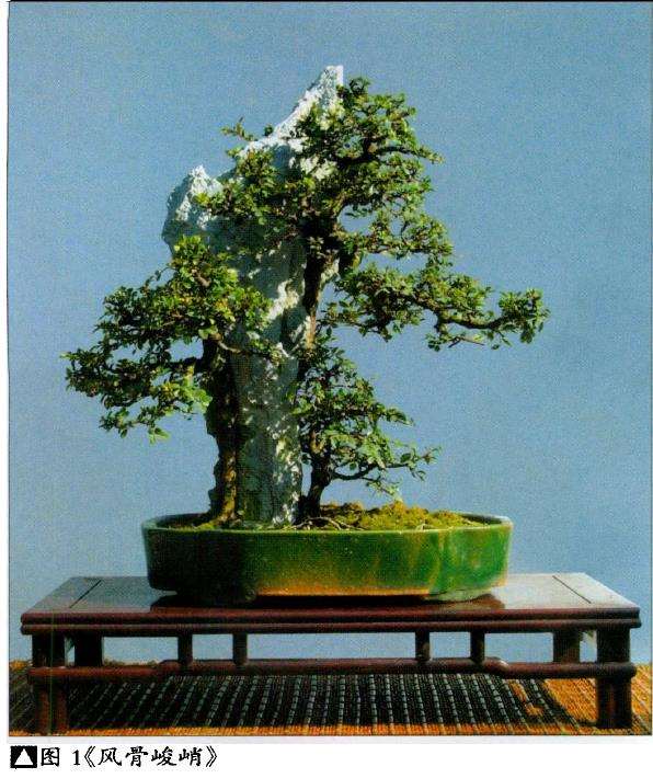 附石盆景作品怎么命题的3个方法 图片