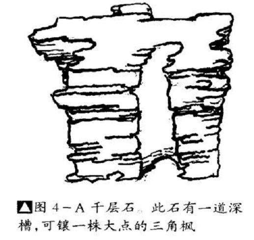 图解 石上树盆景怎么制作的4个步骤