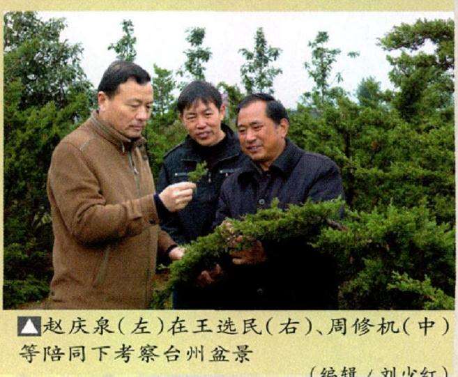 赵庆泉到台州参观指导私家盆景园