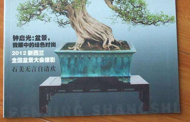 五年前结识《花木盆景》杂志盆景