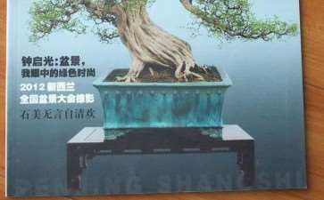 五年前结识《花木盆景》杂志盆景