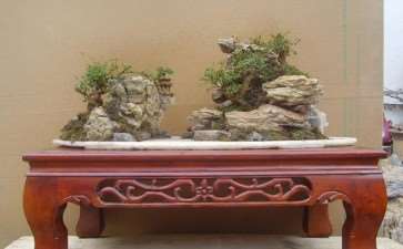 哪位名家给盆景规格下过规定 图片