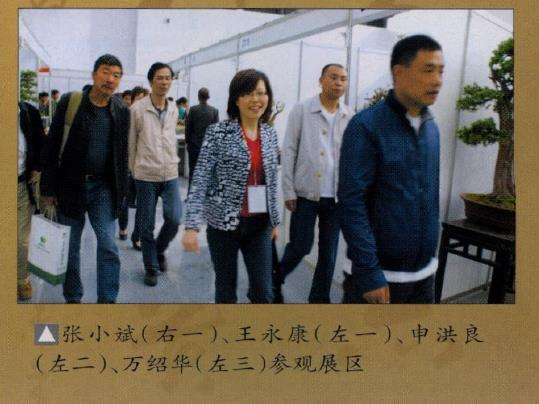 西安世界园艺盆景有30多盆