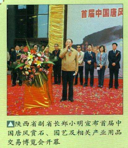 西安世界园艺盆景有30多盆