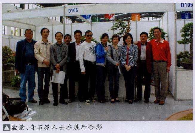 西安世界园艺盆景有30多盆