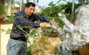 中国盆景大观园总经理谢克英先生