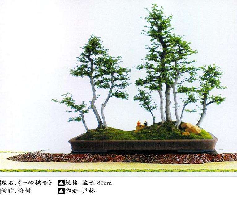 盆景借用《六法论》怎么创作的5个方法