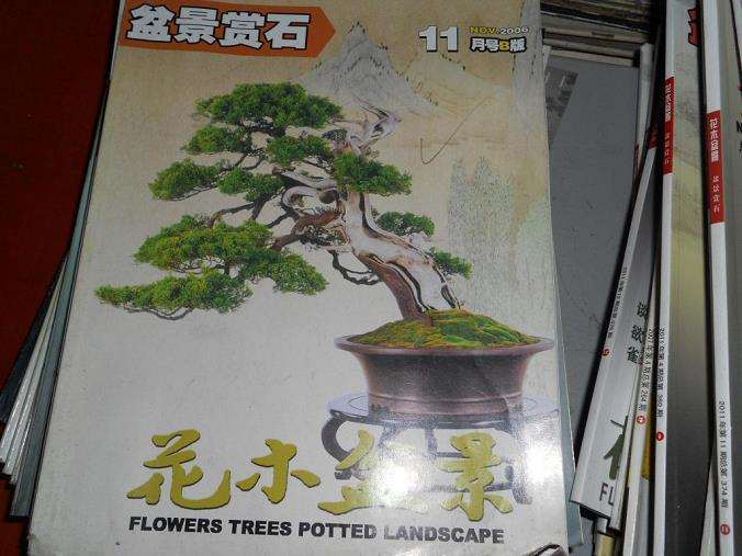 看《花木盆景》杂志盆景赏石版新变化