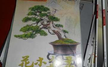 看《花木盆景》杂志盆景赏石版新变化