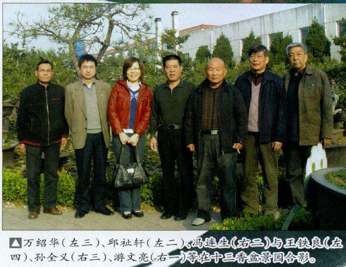 中国南阳盆景文化村 图片