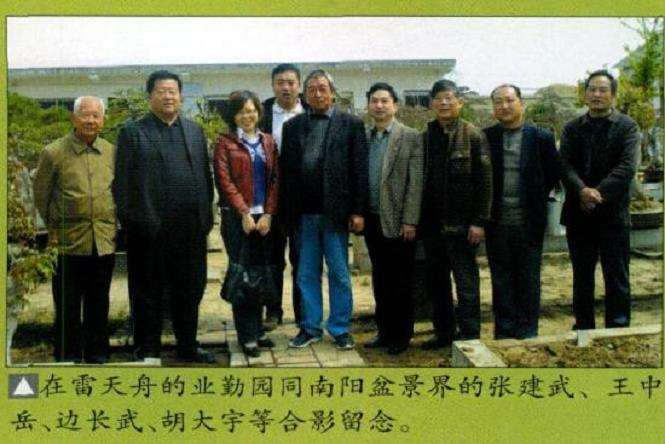 中国南阳盆景文化村 图片