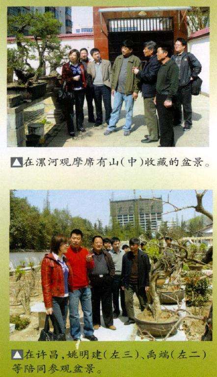 中国南阳盆景文化村