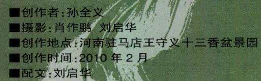 图解 孙全义怎么制作舍利干盆景的6个步骤