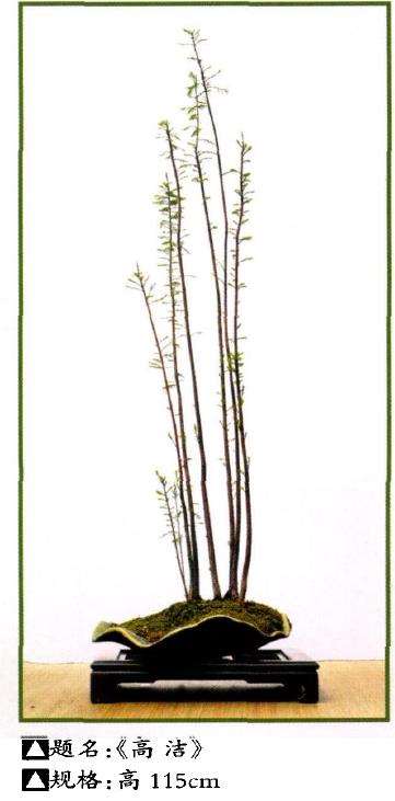 韩学年制作的丛林岭南盆景