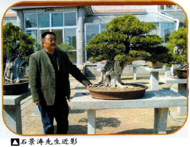 泰安石景涛从事盆景艺术创作30余年