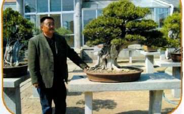 泰安石景涛从事盆景艺术创作30余年