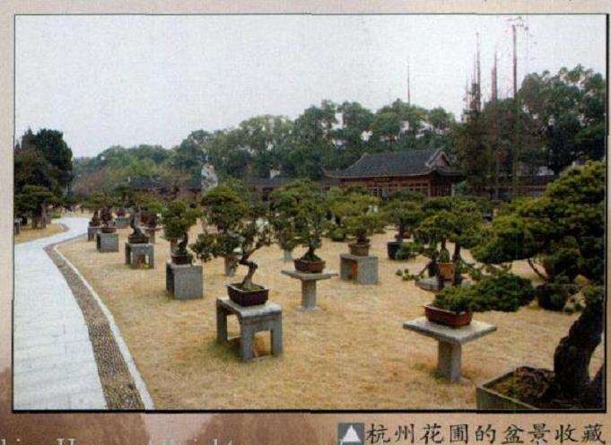 2010年 世界盆景友好联盟