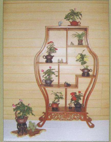 郑州市碧沙岗公园的微型月季盆景