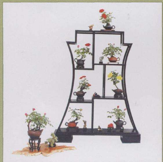 郑州市碧沙岗公园的微型月季盆景