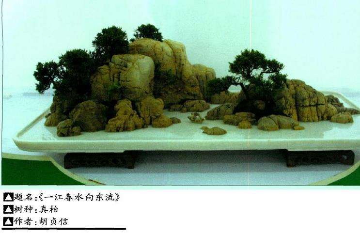 盆景艺术怎么独创革新