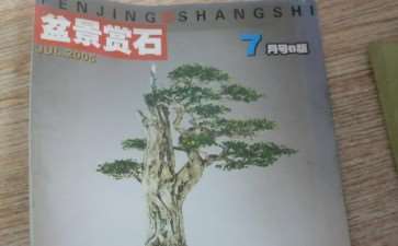 谨向《盆景赏石》杂志提2个建议