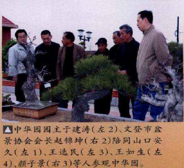 2010年文登举办中华园杯盆景展