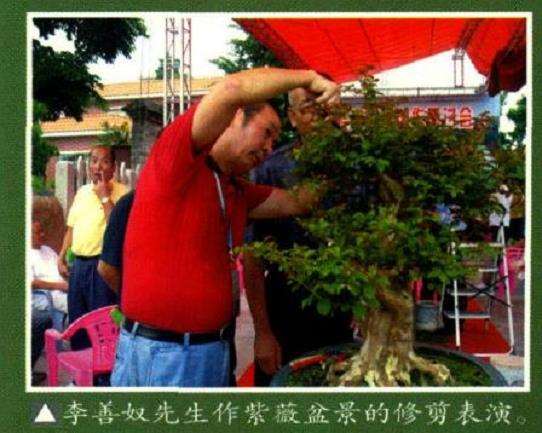 岭南盆景创作研讨会