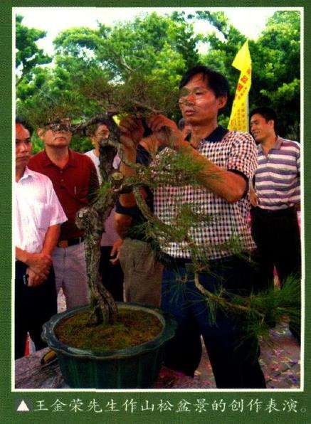 岭南盆景创作研讨会