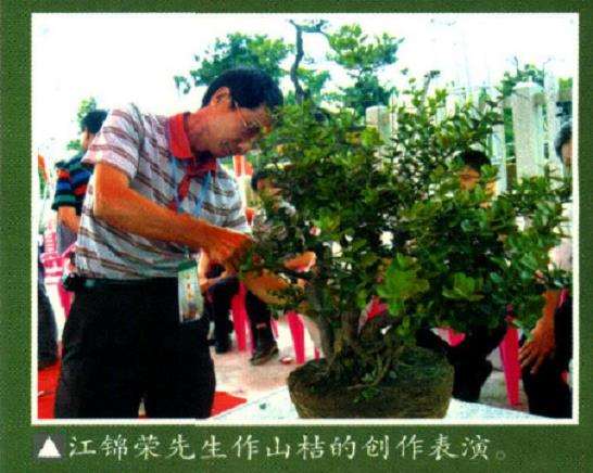 岭南盆景创作研讨会