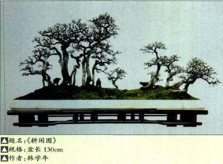 韩学年盆景艺术