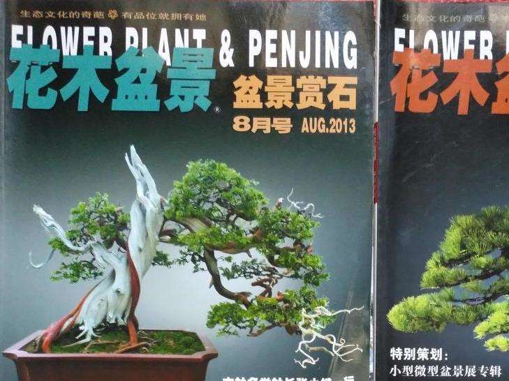 我很感谢《花木盆景》盆景赏石版