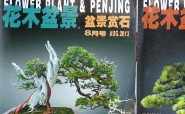 我很感谢《花木盆景》盆景赏石版