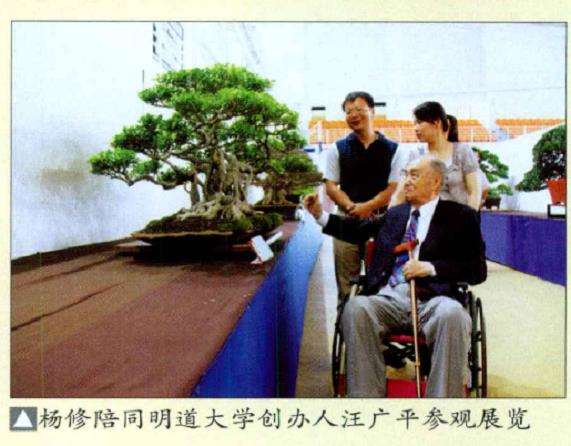 2010景观园艺与盆景作风成果展