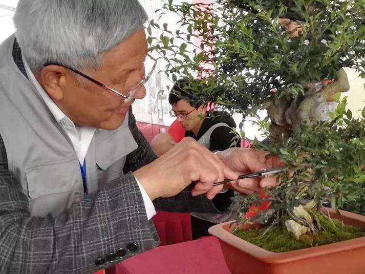 王维第一个制作盆景的人的吗