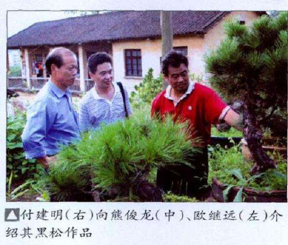 拜访韶钢的私家盆景园