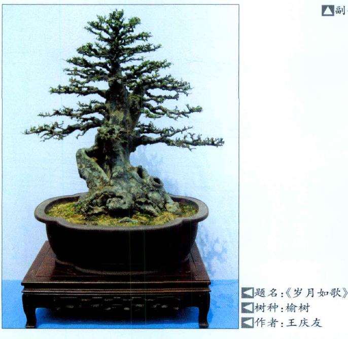 淮南市盆景协会成立