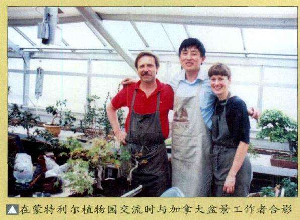 2009年 世界盆景友好联盟 图片