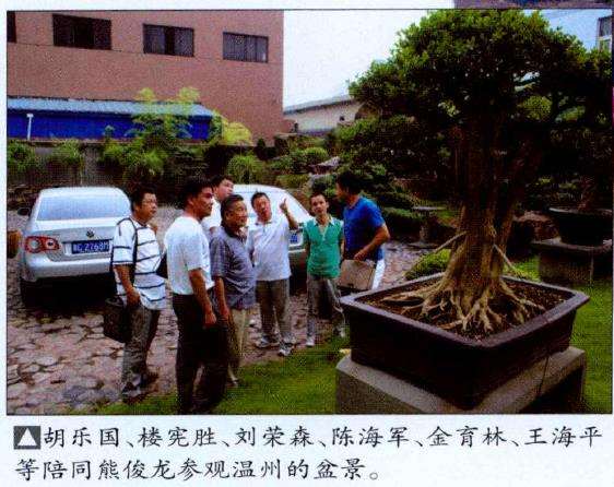 刘荣森先生的楼顶盆景园