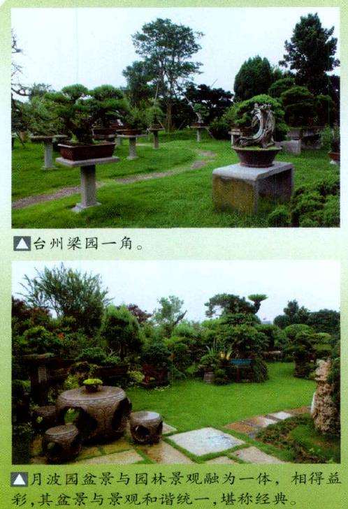 今天参观了温州的几处盆景园
