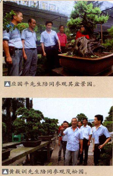 今天参观宁波的盆景园