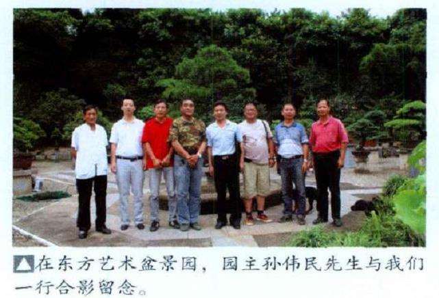 今天参观宁波的盆景园