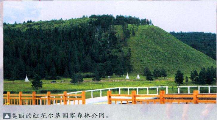 2010年第二届花木盆景杂志社联谊会