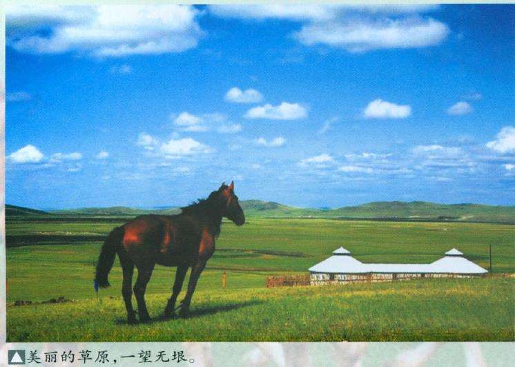 2010年第二届花木盆景杂志社联谊会