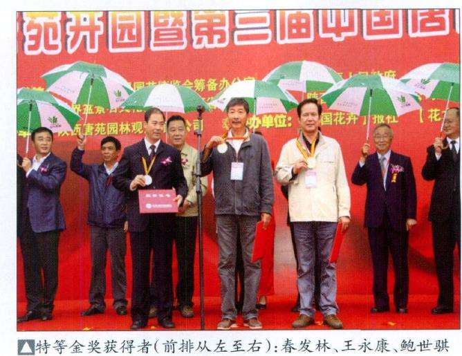 2010 第三届中国唐风盆景展隆重开幕